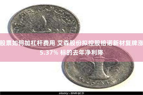 股票如何加杠杆费用 艾森股份拟控股棓诺新材复牌涨5.37% 标的去年净利降