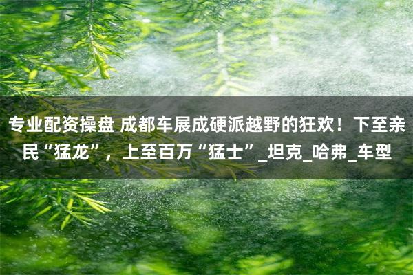 专业配资操盘 成都车展成硬派越野的狂欢！下至亲民“猛龙”，上至百万“猛士”_坦克_哈弗_车型