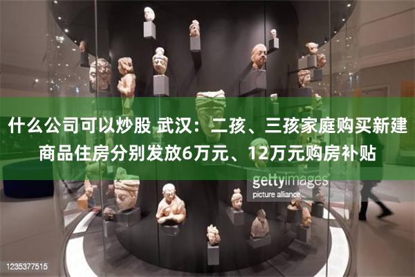 什么公司可以炒股 武汉：二孩、三孩家庭购买新建商品住房分别发放6万元、12万元购房补贴