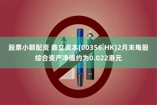 股票小额配资 鼎立资本(00356.HK)2月末每股综合资产净值约为0.022港元