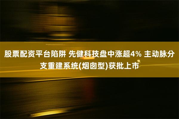 股票配资平台陷阱 先健科技盘中涨超4% 主动脉分支重建系统(烟囱型)获批上市