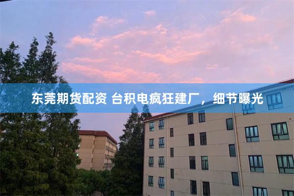 东莞期货配资 台积电疯狂建厂，细节曝光