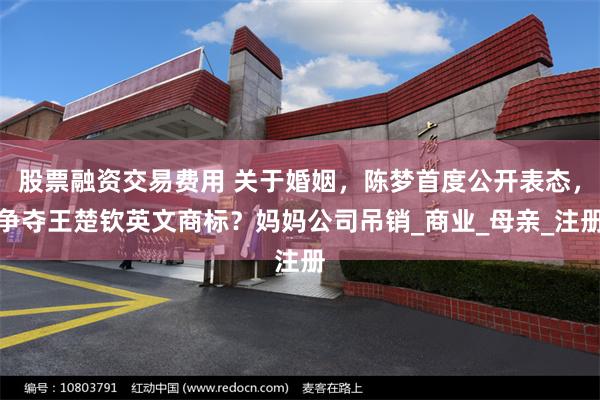 股票融资交易费用 关于婚姻，陈梦首度公开表态，争夺王楚钦英文商标？妈妈公司吊销_商业_母亲_注册